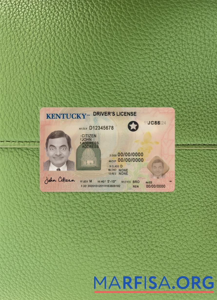 Printable USA Kentucky driving license 2020 present photolook example